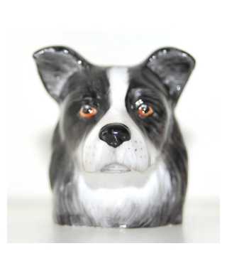 Border Collie (K Taylor)