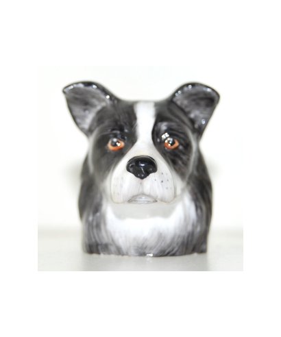 Border Collie (K Taylor)
