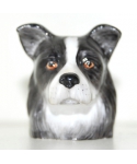 Border Collie (K Taylor)