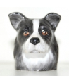 Border Collie (K Taylor)