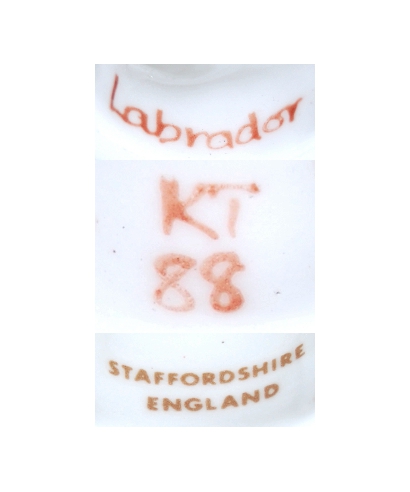Francesca (czarny Labrador, K Taylor), Staffordshire
