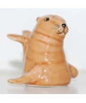 Foka
