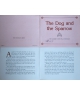 The Dog and the Sparrow - certificate