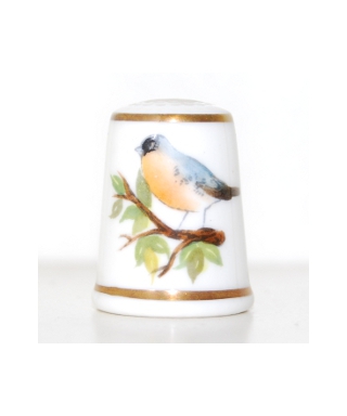 Redstart - P. Graham