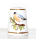 Redstart - P. Graham