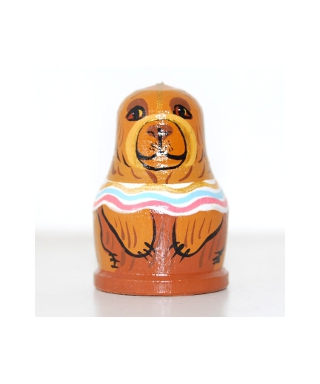 Bear (Circus)