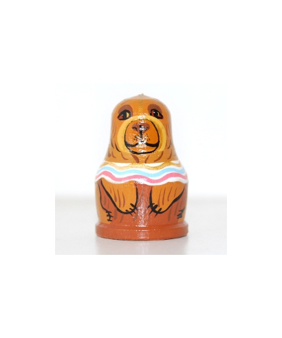Bear (Circus)