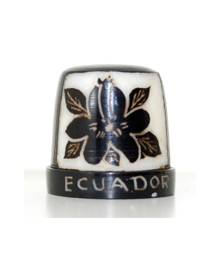 Tagua hibiscus