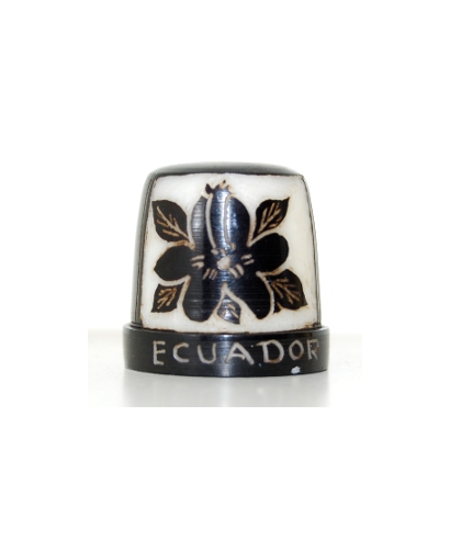 Tagua hibiscus