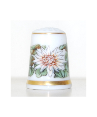Daisies