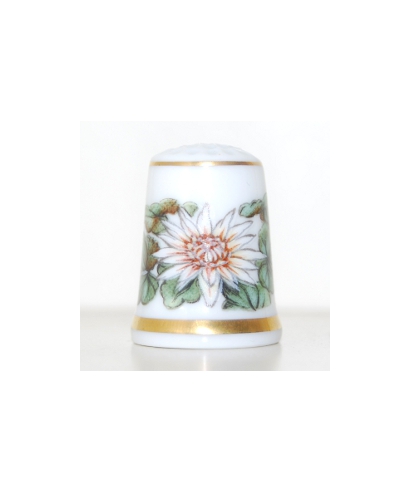 Daisies