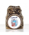 Toruń owl