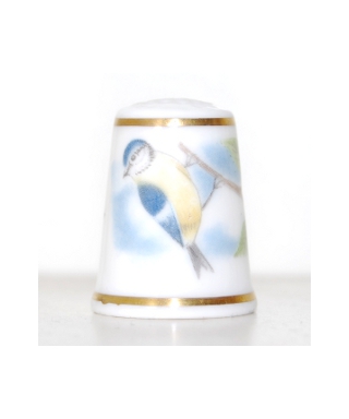 Blue tit