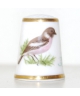 European stonechat