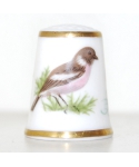 European stonechat