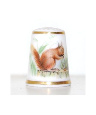 Red squirrel