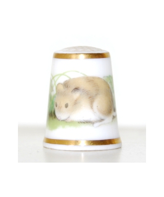 Vole