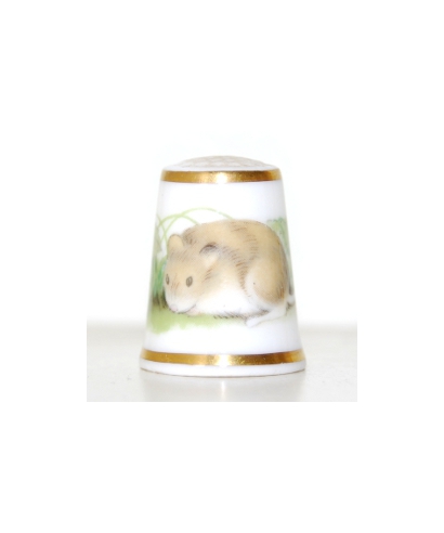 Vole
