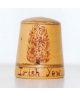 Irish yew