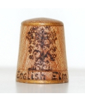 English elm