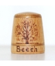 Beech