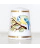 Blue tit - Mandy Munslow