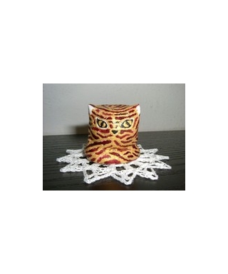 Tiger cat