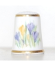 Crocuses - Y. Wood
