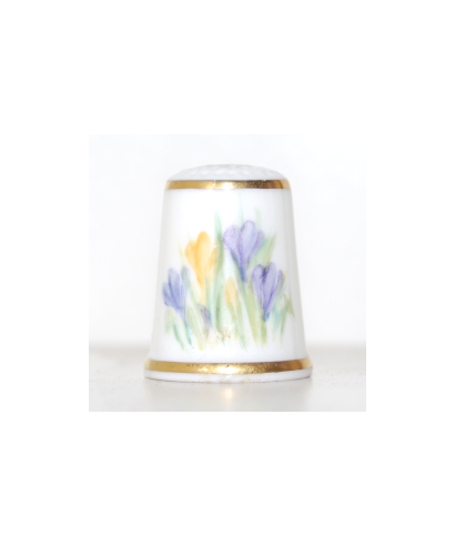 Crocuses - Y. Wood