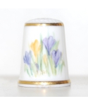 Crocuses - Y. Wood