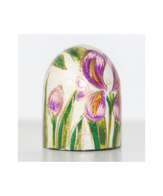 India - irises