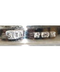 S(T) [anchor] [lion] M
