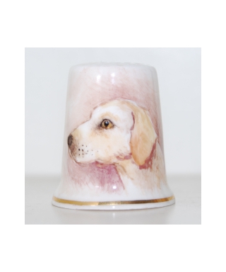 Labrador - S. Whitcombe