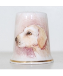 Labrador - Sheila Whitcombe