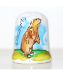 Szczyrk marmot