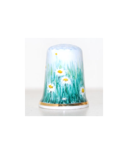 Daisy field (Rachel Pugh)
