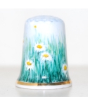 Daisy field (Rachel Pugh)