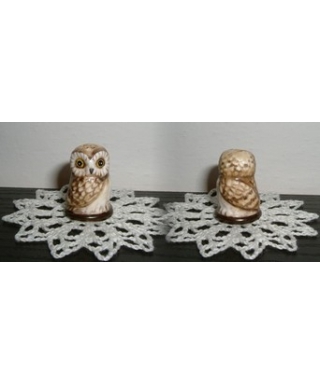 Saw-Whet Owl