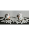 White rabbit