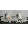 White rabbit