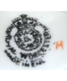 BONE CHINA ROYAL WORCESTER MADE IN ENGLAND H