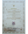 Blues net (Сетка-блюз) - certificate