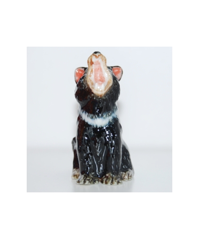 Tasmanian devil