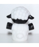 Sheep (Farm animals)