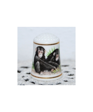 Chimpanzee
