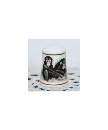 Chimpanzee