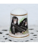 Chimpanzee