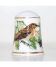 Songbirds Of The World Series 11