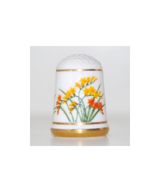 Freesia refracta
