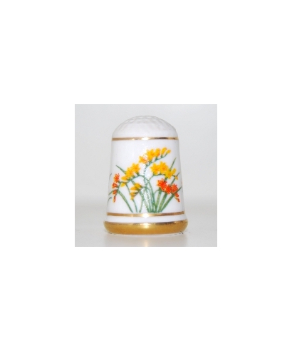 Freesia refracta